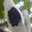 방산농장 이미지