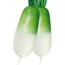 누보올