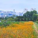 수우농장 이미지