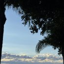 인앤아웃마켓코리아 이미지