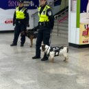 (주)동방사이메드 | 상하이 ep2. 티엔즈팡/신천지(대한민국임시정부유적지)/주광옥훠궈/동방명주(와이탄)/예원