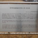 유여림선생묘 및 신도비 이미지