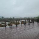 죽정습지 이미지