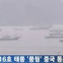 동부 비상-16호 헤럴드경제