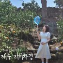 몽글멍글 | 제주 저지차경 제주 태교여행숙소 내돈내산 솔직후기