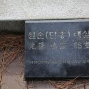 금성석물 이미지