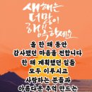 "홍하사의 잡다한 이야기"---(1482) "인생 이야기"---(401) (신년날씨정보,요양원 안가기) &amp; (유투브 뉴스) 이미지