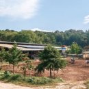 예찬목장 이미지