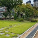 부광여자고등학교 이미지