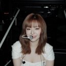 정연
