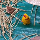 범준농장 이미지