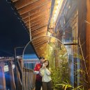 연이동물병원 | 황금같은 추석연휴를 경주에서♡