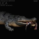 사르코수쿠스 이미지