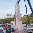 아침바다수산 이미지