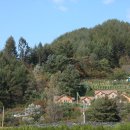 과수원산동네펜션 이미지