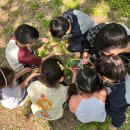 시립초롱어린이집 이미지