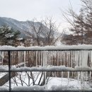 포레스트 리솜 이미지