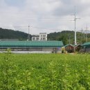 강정보여울협동조합 | 마을기업/ 강정보 여울 협동조합 체험농장에 다녀왔어요~^
