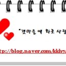 아이리쉬PC 이미지