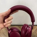 딥플럼
