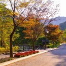 솔향수목원(전시온실) 이미지