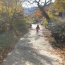 예산느티나무캠핑장 이미지