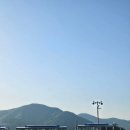 오동도유람선 | [여수] 오동도 유람선 불꽃놀이 후기 여수밤바다