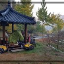 예봉로(녹전면) Daum카페