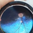 예인동물병원 이미지