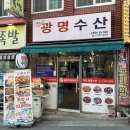 하단꼼장어