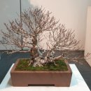 빛고을고등학교 이미지