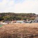 내덕소류지 티스토리
