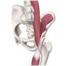 오목한의원 이미지