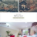 마이웨이 비발디 관광펜션 이미지