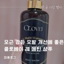 클로베이 이미지