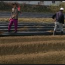 경식농장 이미지