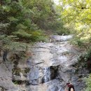 수룡봉황길 이미지