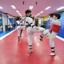 탑동태권도 이미지