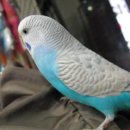 유경동물병원 이미지