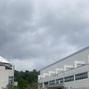 종합운동장내 수영장 | 수린이 자유수영일지 [4] 탄천종합운동장 수영장 물공포자 후기(+2M 허우적 썰)