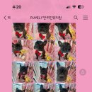 퍼밀리 이미지