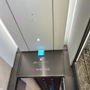 위너팰리스 | 서울 호캉스 추천 JW메리어트호텔서울 후기(이그제큐티브디럭스 한강뷰, 라운지, 수영장, 피트니스)