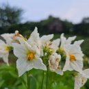 한라비발디센텀시티공인중개사사무소 이미지