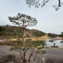 원주 센추리21CC 야간 라운딩 후기 | 회원제 코스 난이도 그린 컨디션