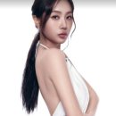 소유