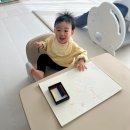 글로벌수어린이집 | 17개월 아기 기저귀 추천 어린이집용 팸퍼스 2026 터치 오브 네이처 팬티 후기