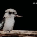 동해금강요양병원 네이버블로그