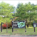 용화산둘레길 이미지