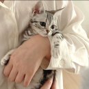 용원동물병원 이미지