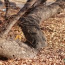 신포마을 이미지